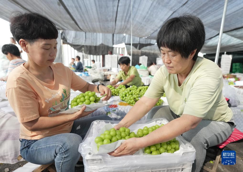 拉斯维加斯金沙